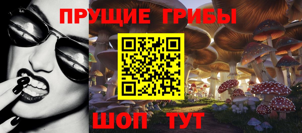 наркотики  Псилоцибиновые грибы мицелий  Вход с VPN  Луховицы 